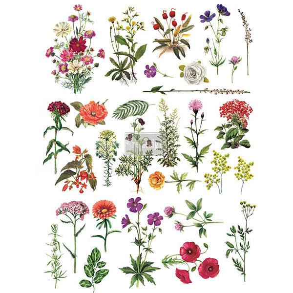 Floral Collection |60.96 Cm X 86.36 Cm Decor Transfer |ReDesign with Prima