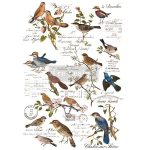 Postal Birds |60.96 Cm X 88.9 Cm Decor Transfer |ReDesign with Prima